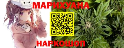 a pvp Будённовск