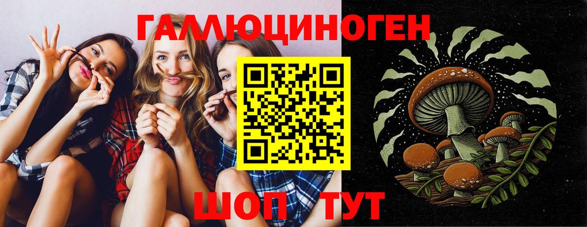 Галлюциногенные грибы MAGIC MUSHROOMS  Галлюциногенные грибы мухоморы  Вход с VPN  где купить   Рыбинск 